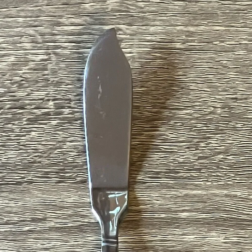 Reed & Barton Harvest Bouquet 18/10 Stainless Master Butter Knife Replacement
